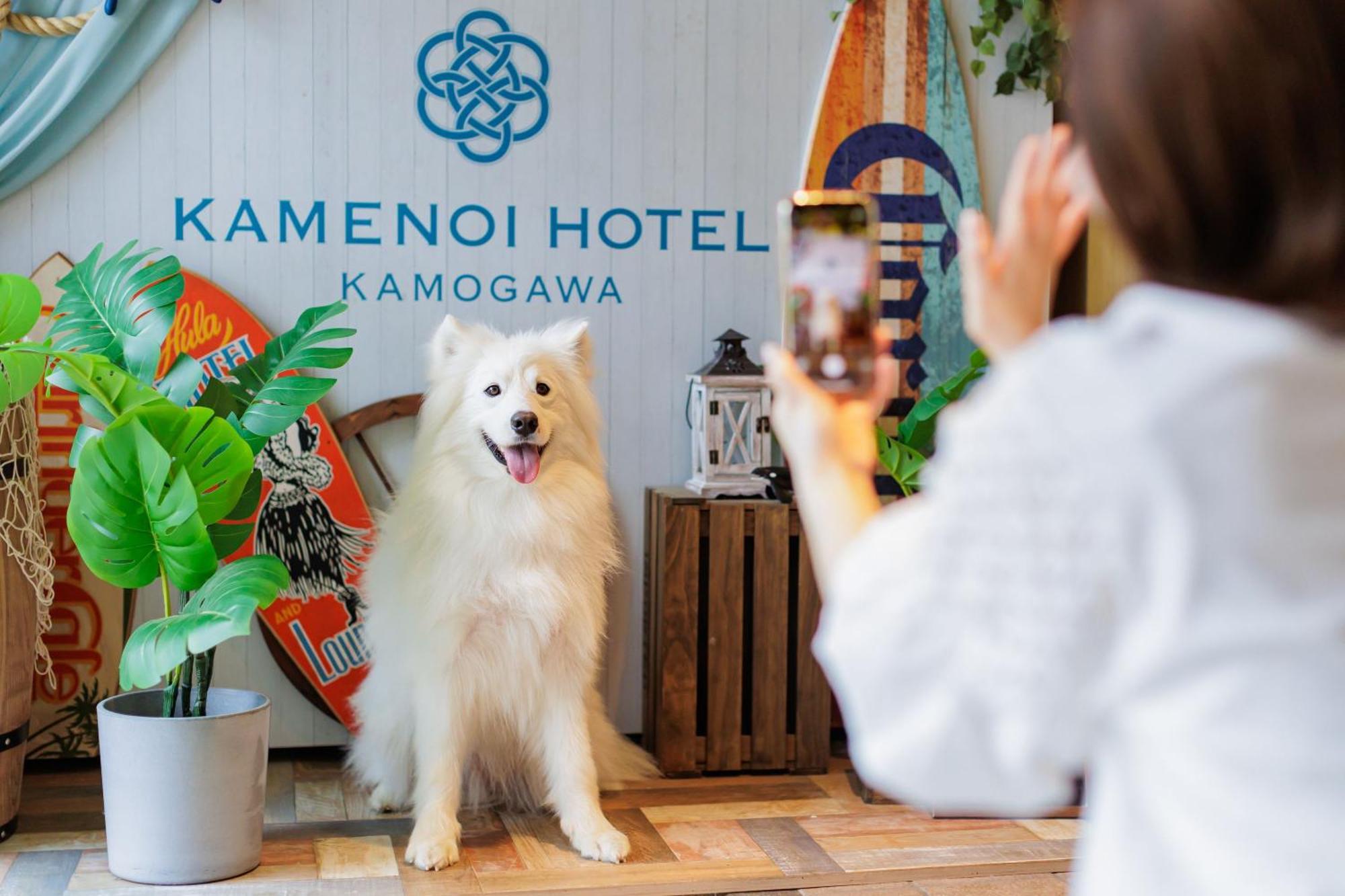 Kamenoi Hotel Камогава Экстерьер фото